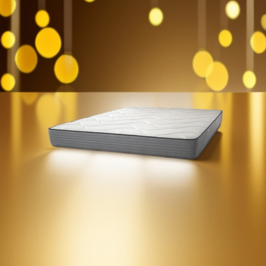 Matelas ERGO-THERAPY - Centrale literie